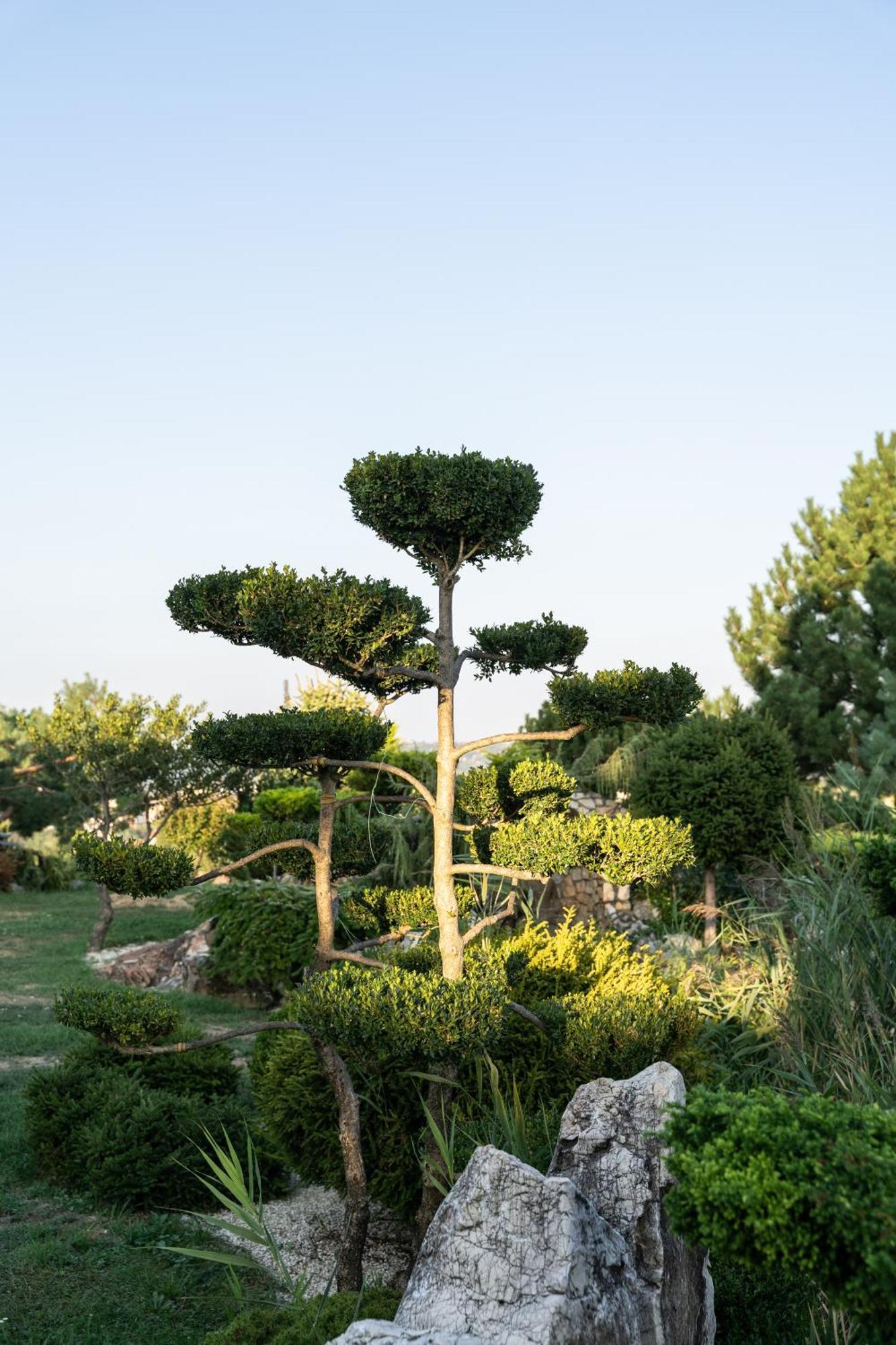 Villa Garden Zalaegerszeg Esterno foto