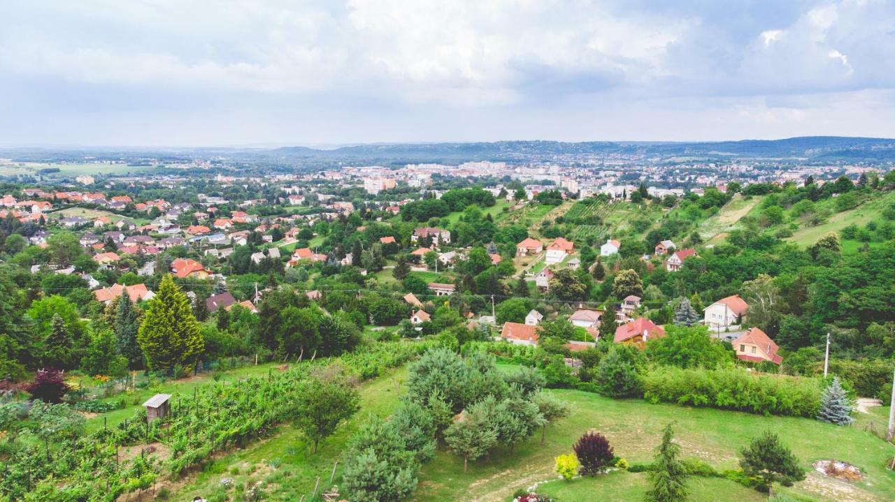 Villa Garden Zalaegerszeg Esterno foto